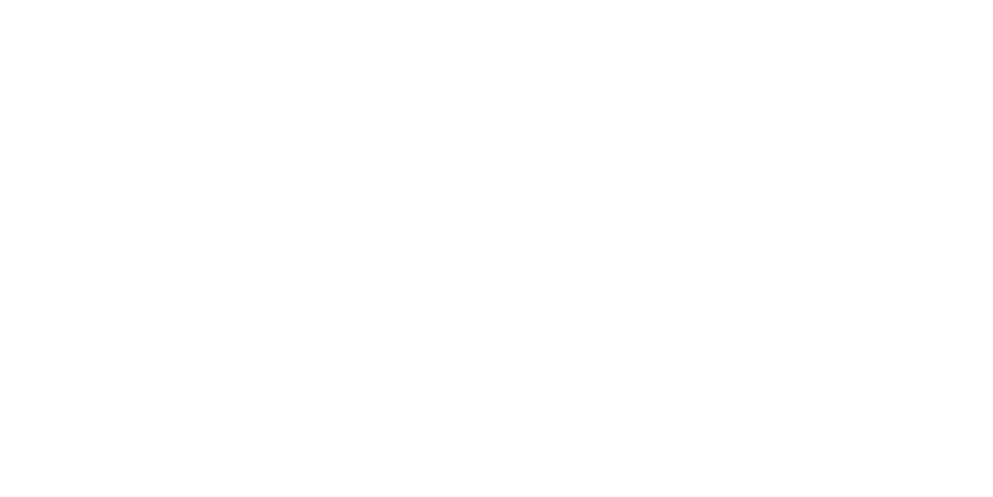 Logo Litanak